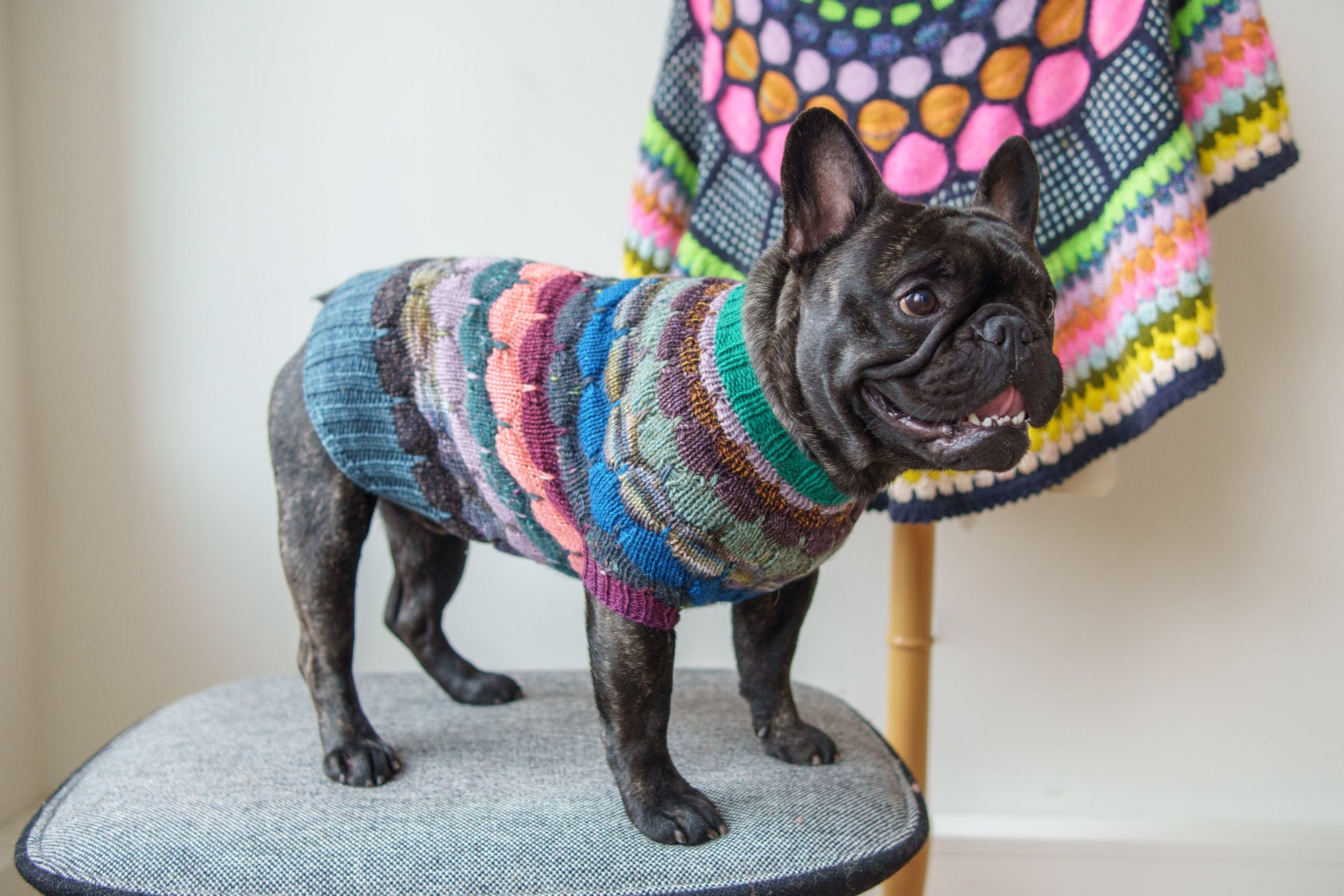 Bubble Pup Sweater