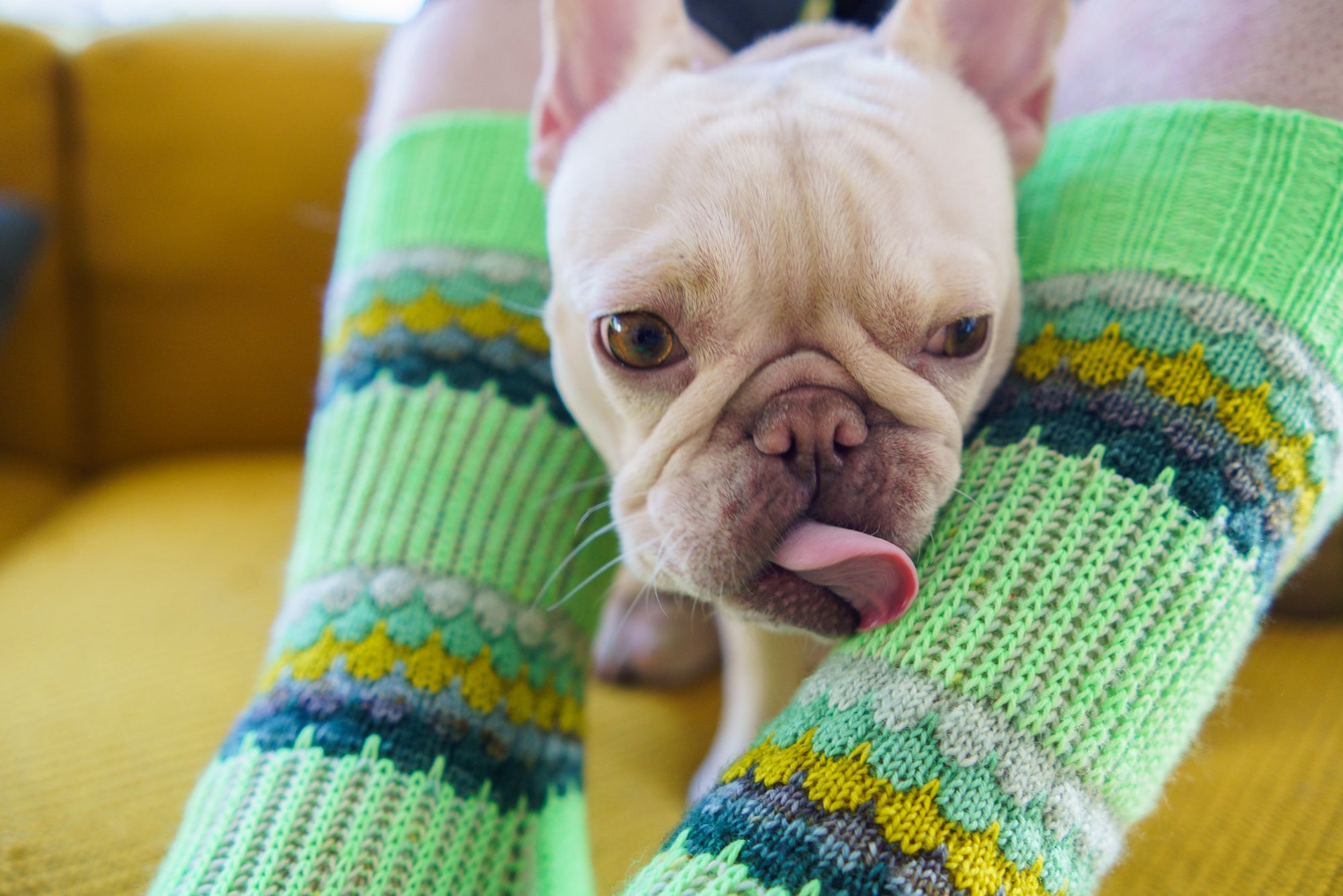 Bubbles & Brioche Socks