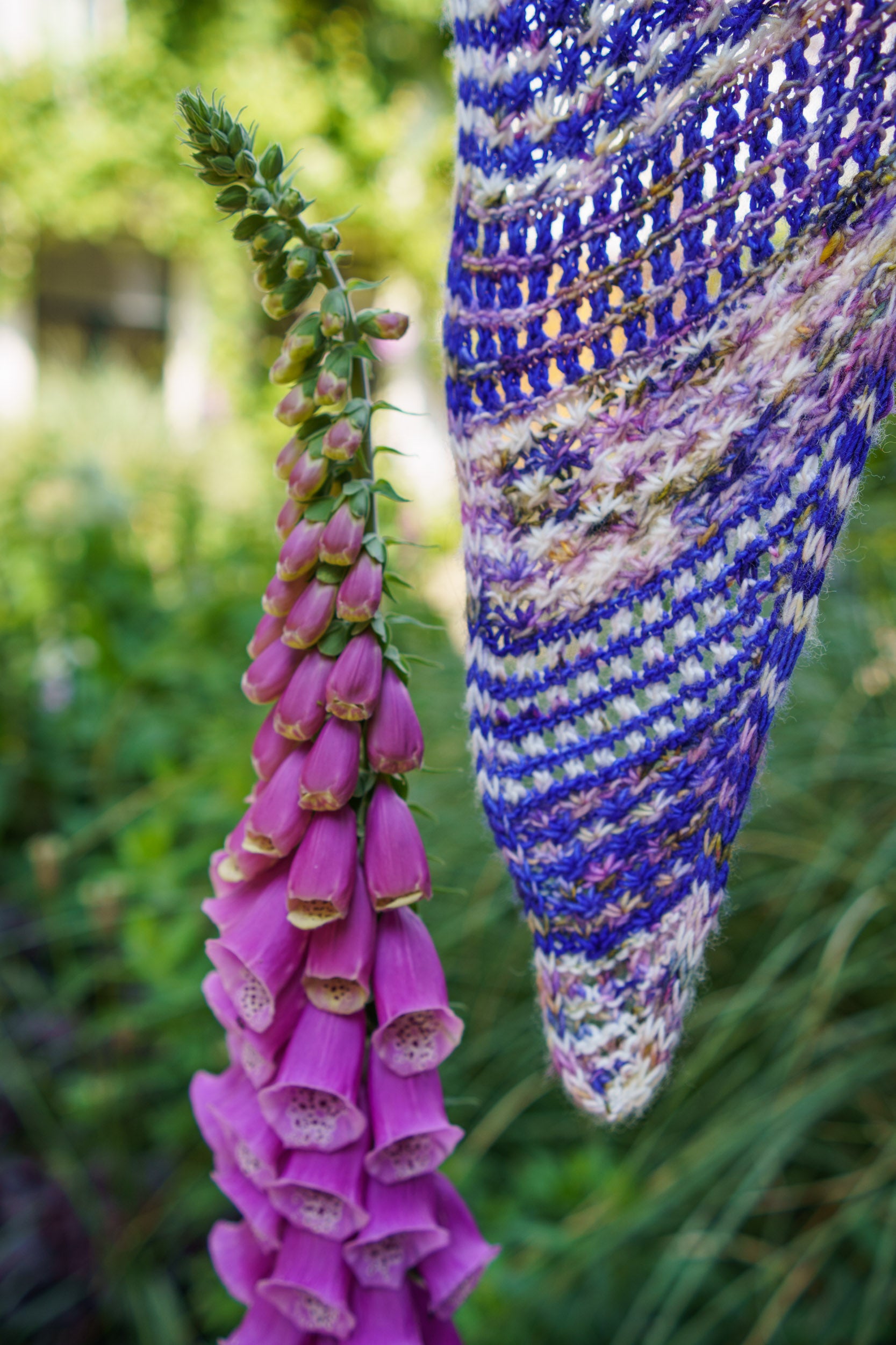 Frolicking Field Shawl