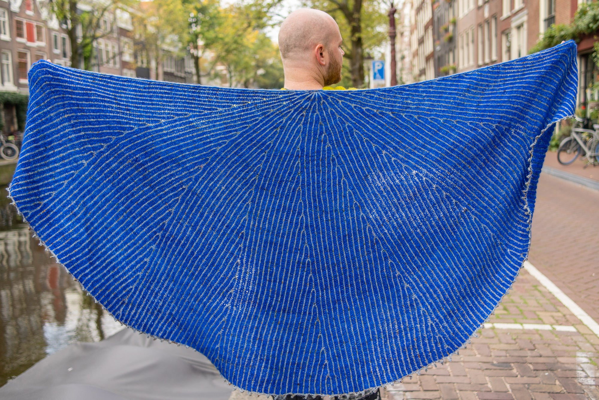 Branching Brioche Shawl