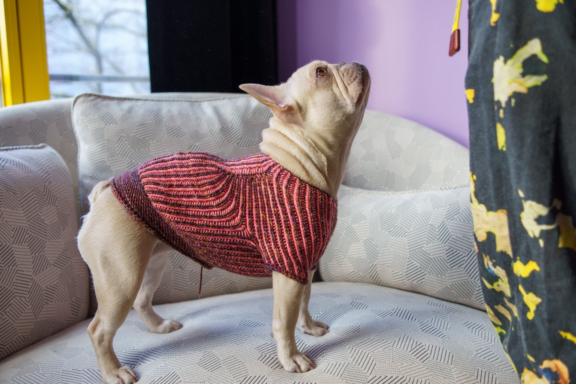 Brioche Pup Sweater