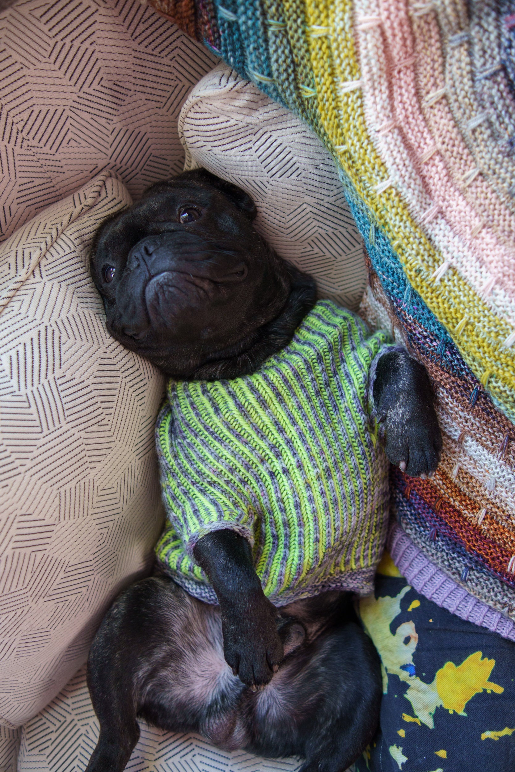 Brioche Pup Sweater