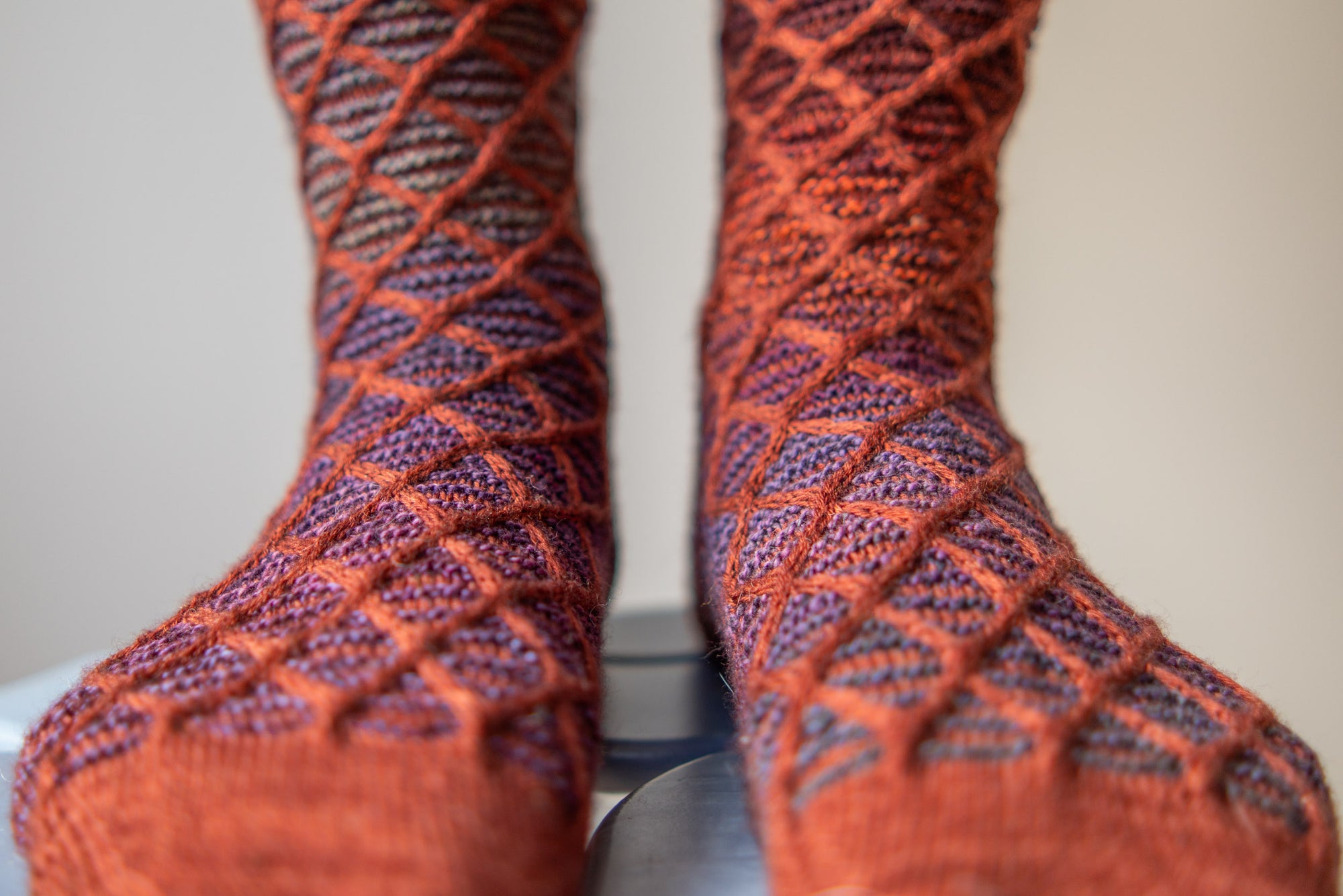 Cabled Trellis Socks