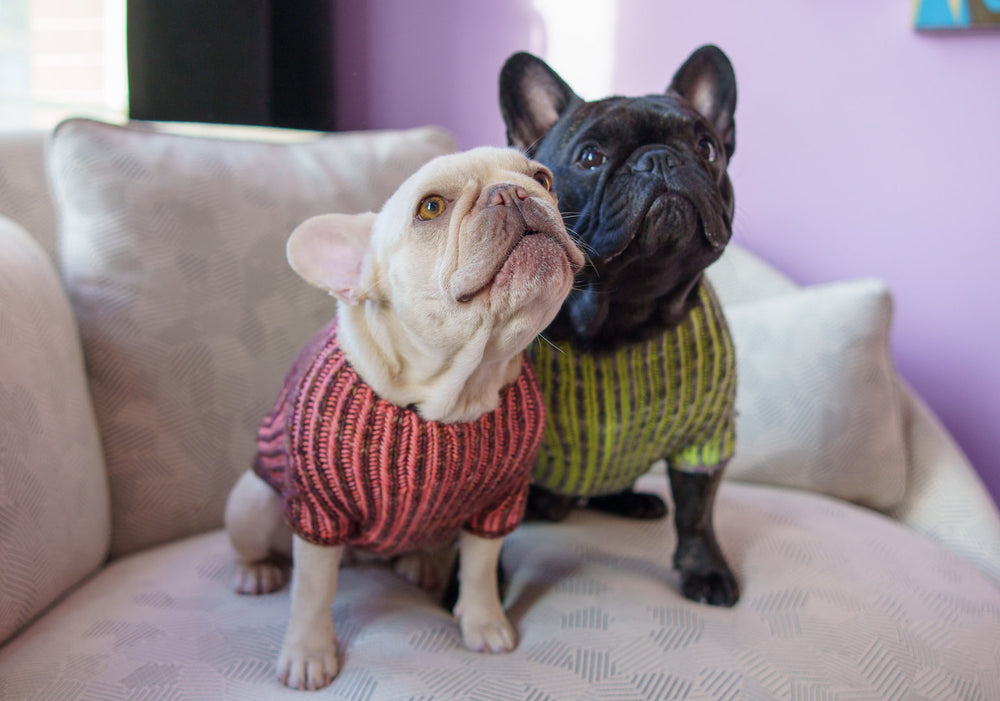 Brioche Pup Sweater Workshop