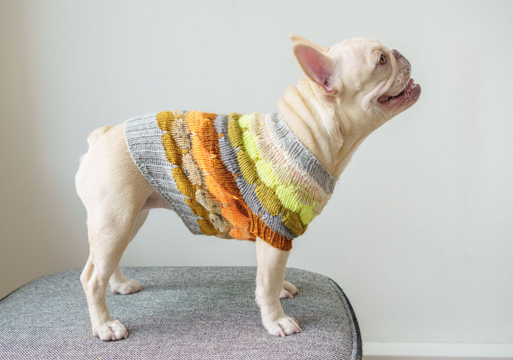 Bubble Pup Sweater