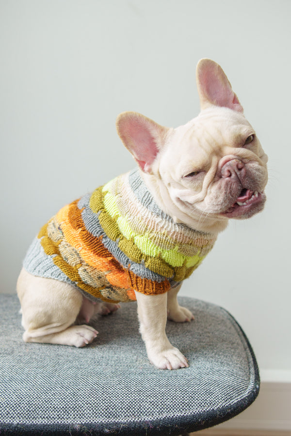 Bubble Pup Sweater Westknits - Main Image