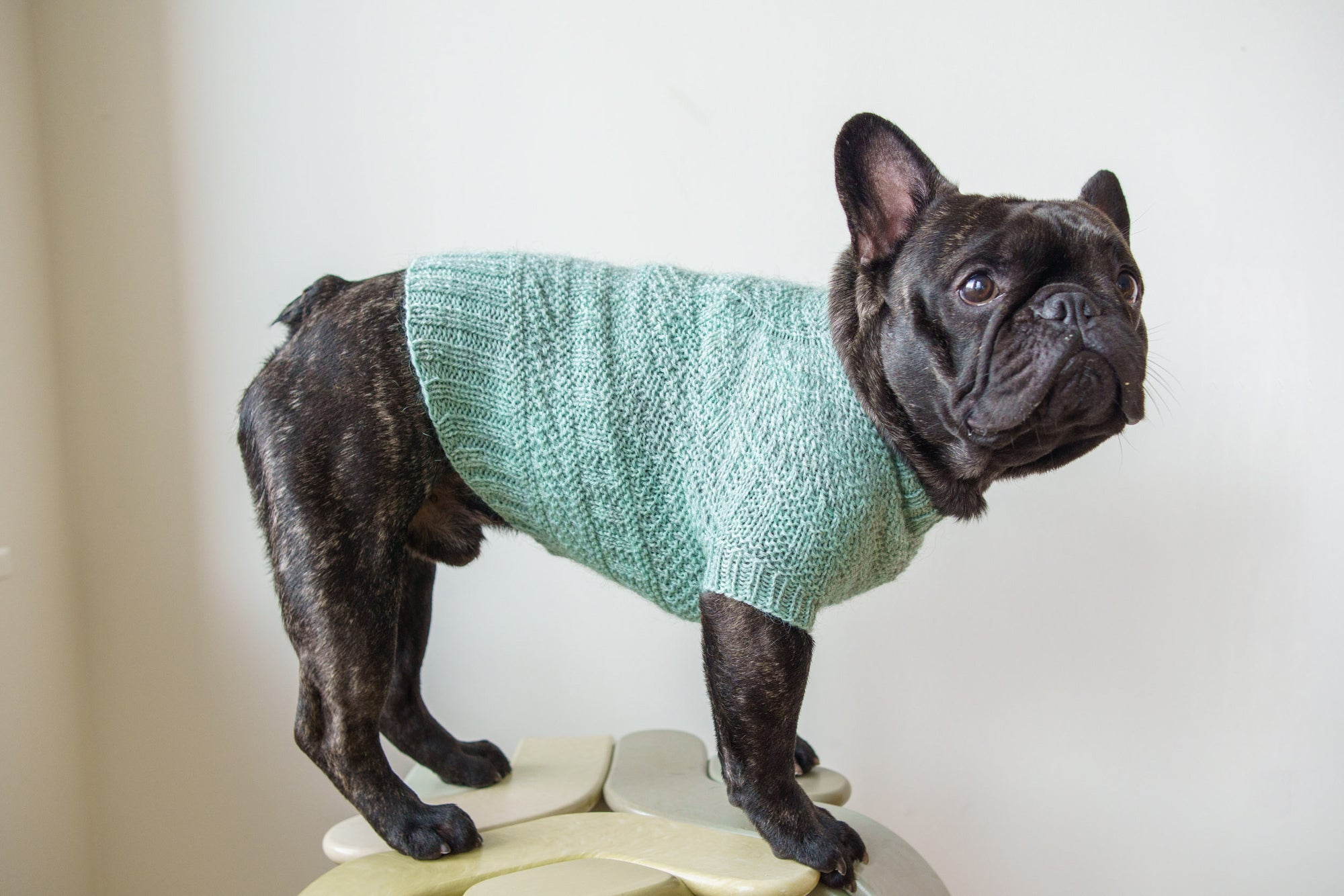 Dustland Dog Sweater