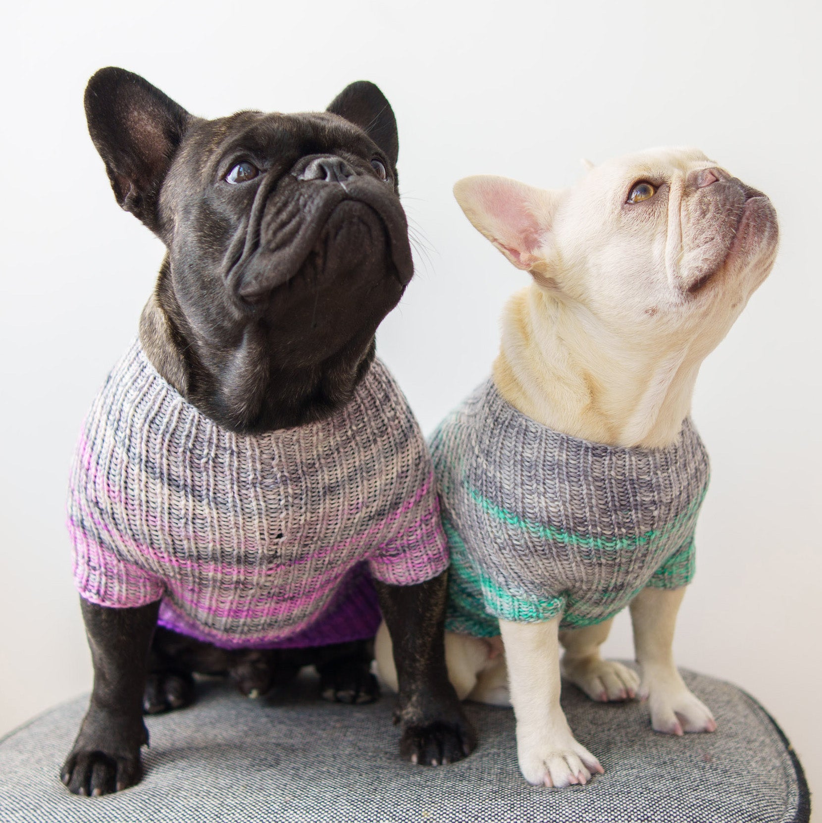 Faded Rib Pup Sweater - Westknits