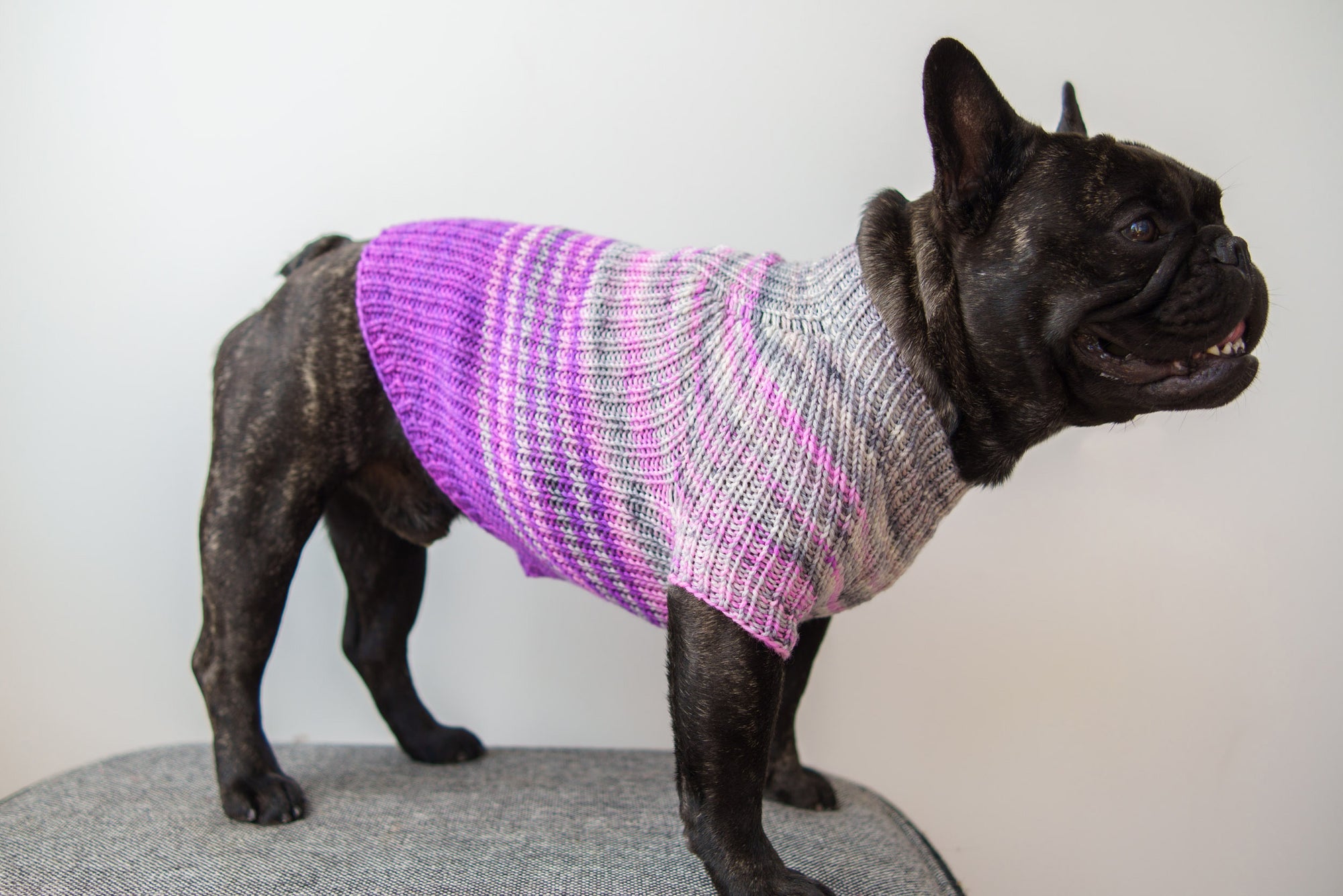 Faded Rib Pup Sweater