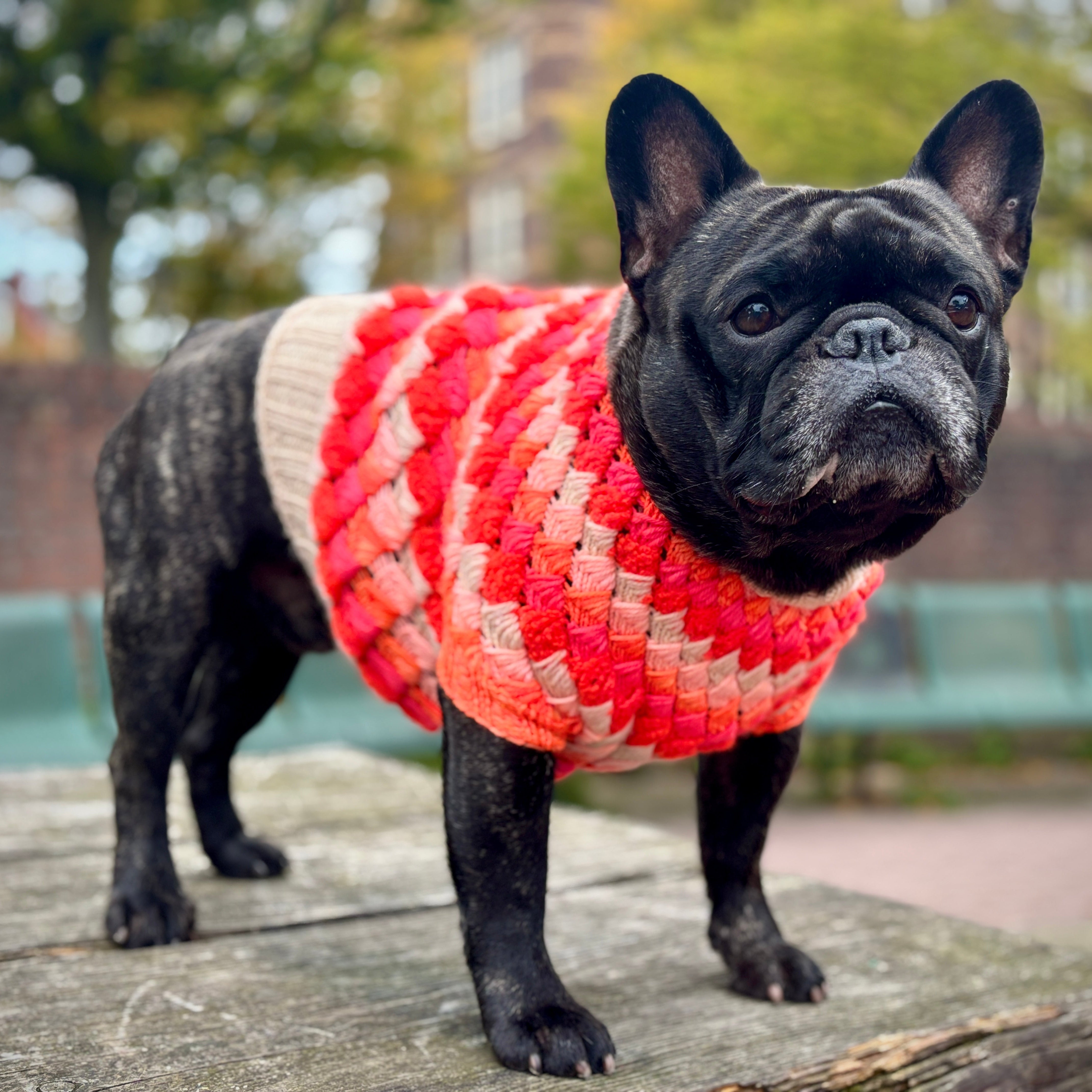 red dog sweater Merdog Sweater