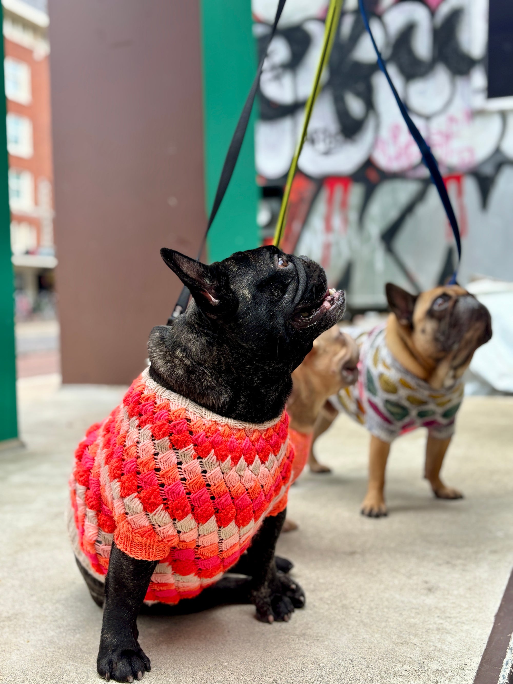 Merdog Sweater