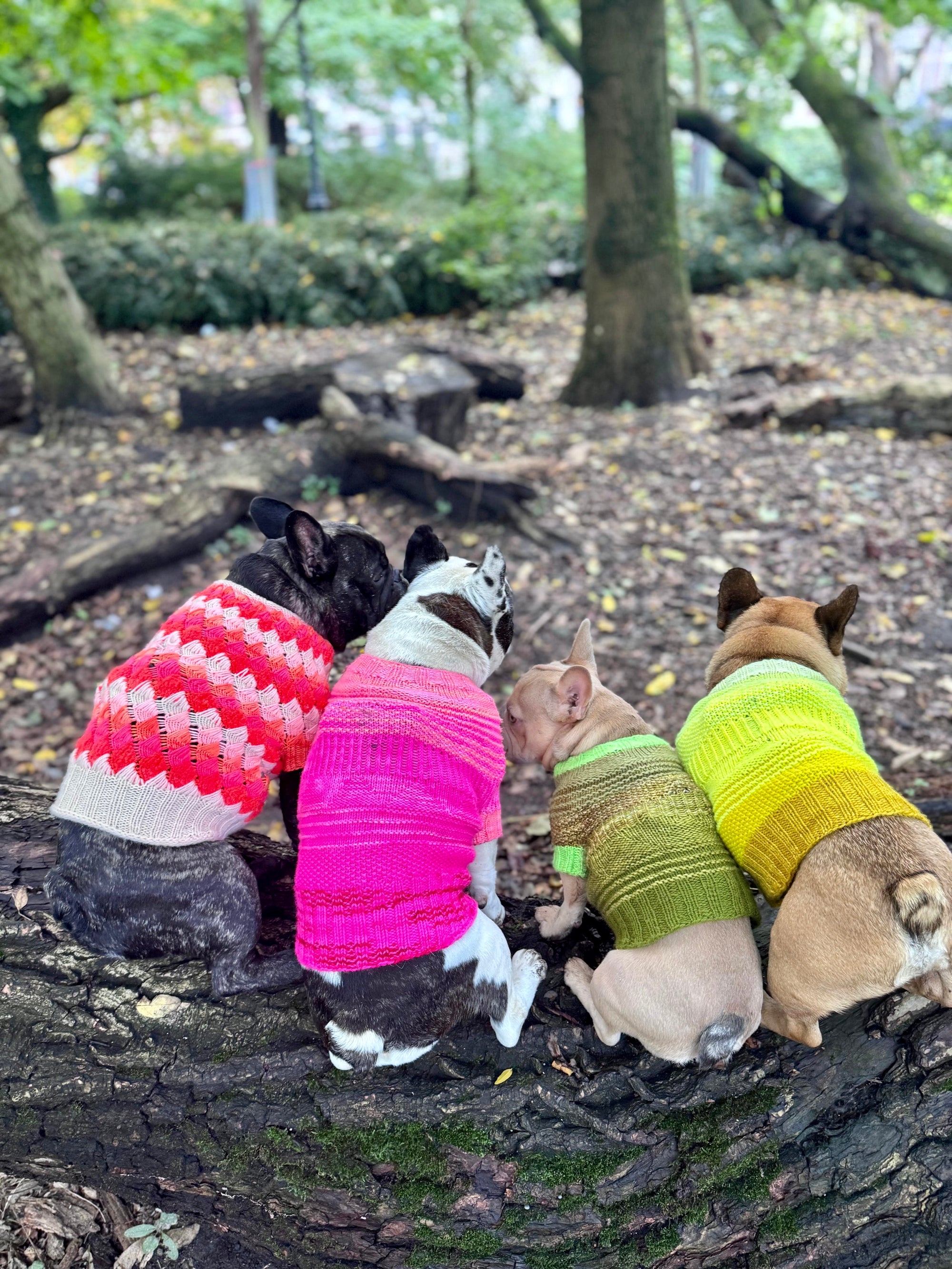 Westknits Pet Knits 2