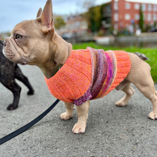 dog dress knitting pattern PDF Pattern Cable Knit Sweater For Small Dog & Medium