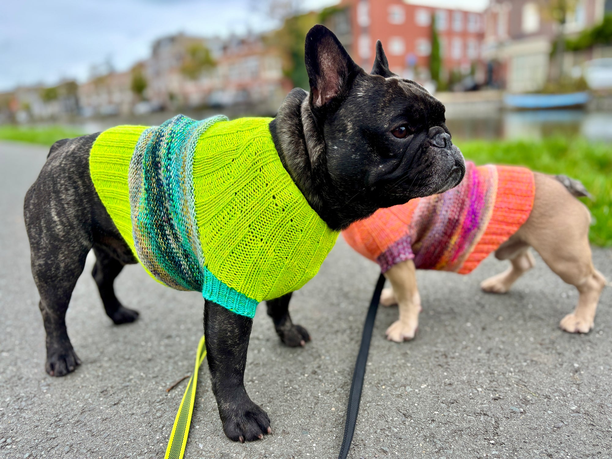 Playtime Dog Sweater
