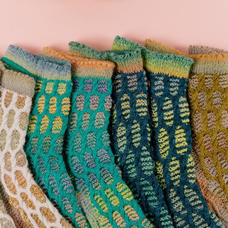 SSAL 2026 - Chameleonic Socks