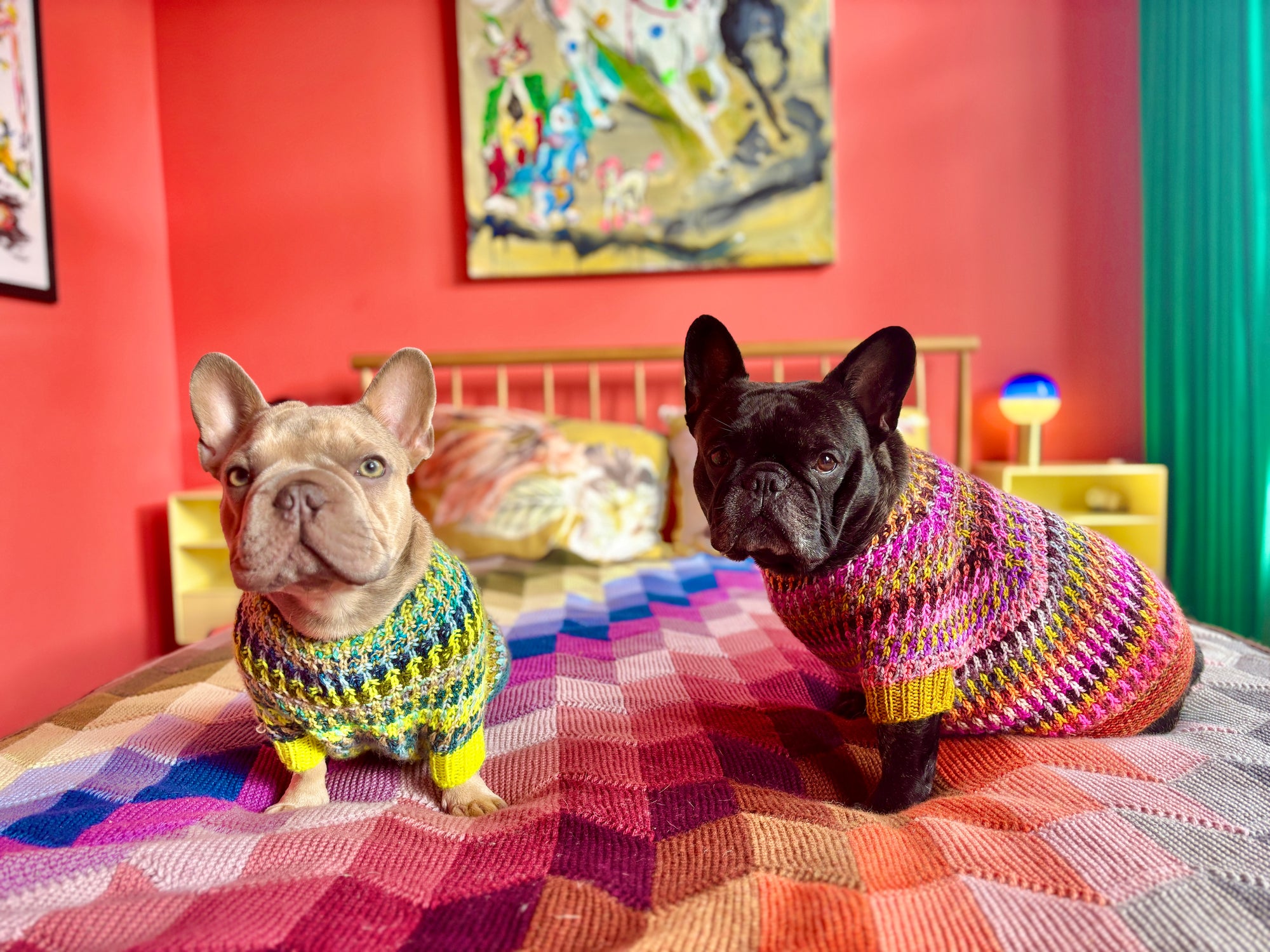 Syncopated Dog Sweater