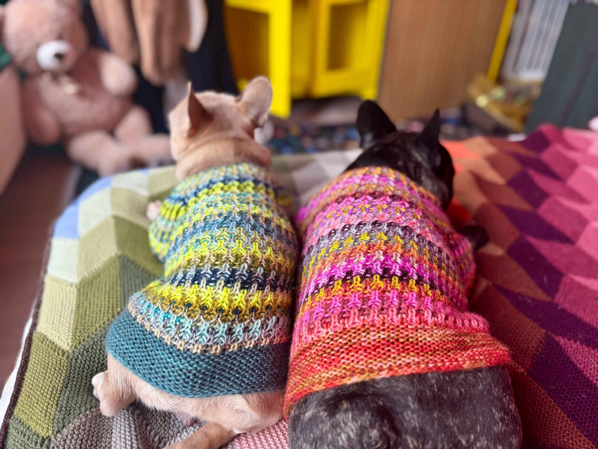 Syncopated Dog Sweater