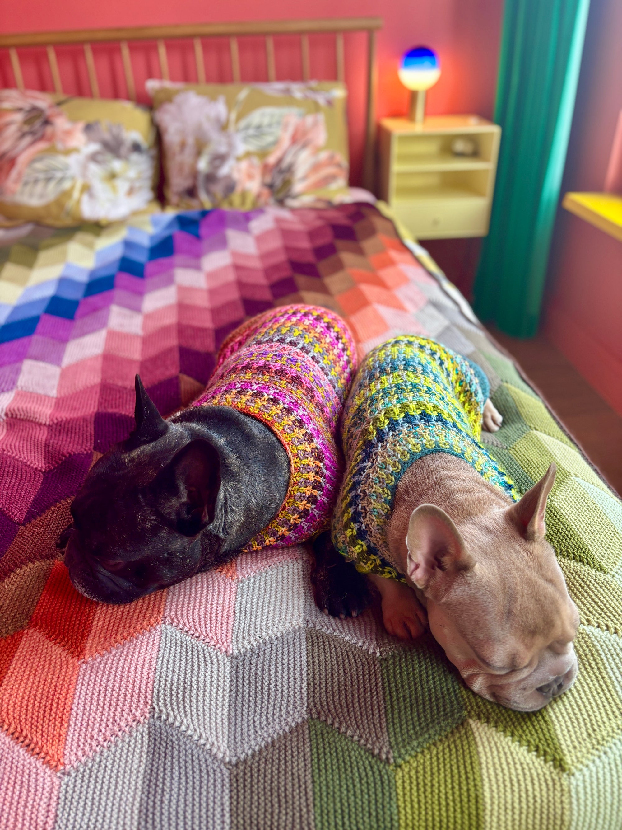 Syncopated Dog Sweater