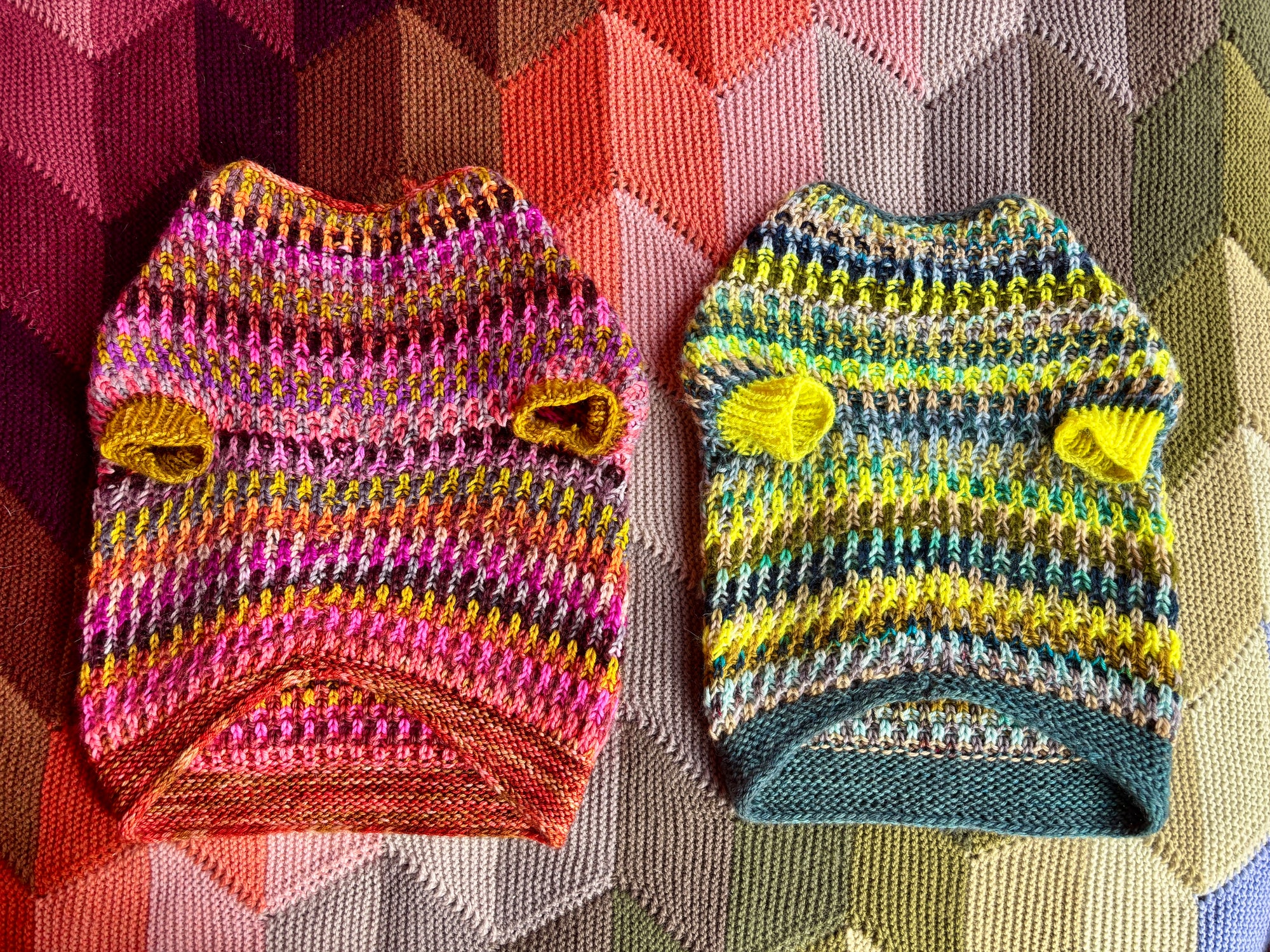 Syncopated Dog Sweater