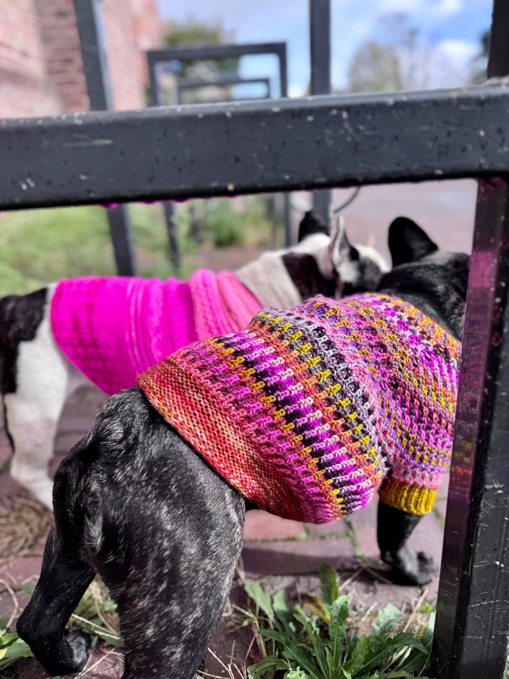 Syncopated Dog Sweater