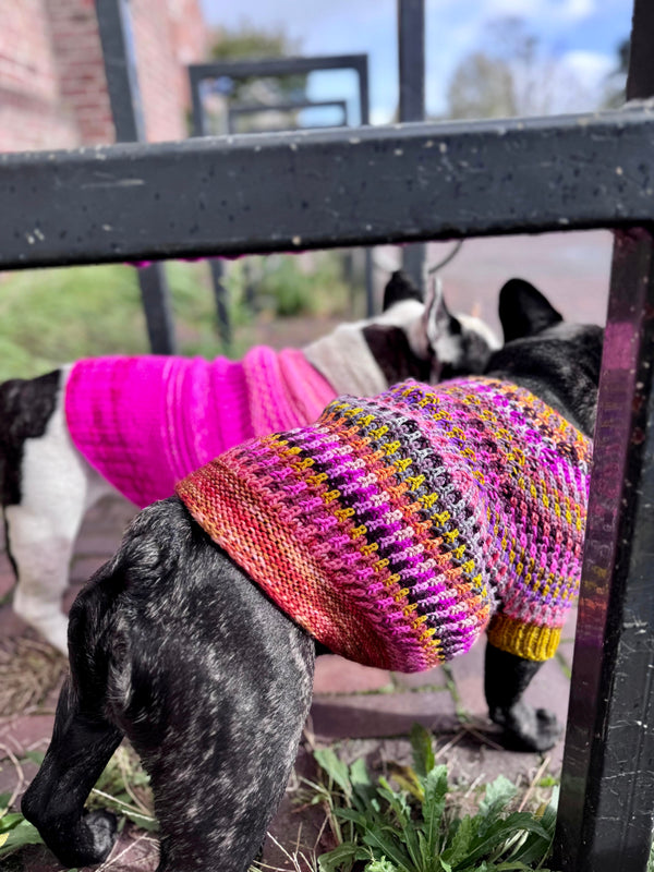 dog sweater patterns Syncopated Dog Sweater