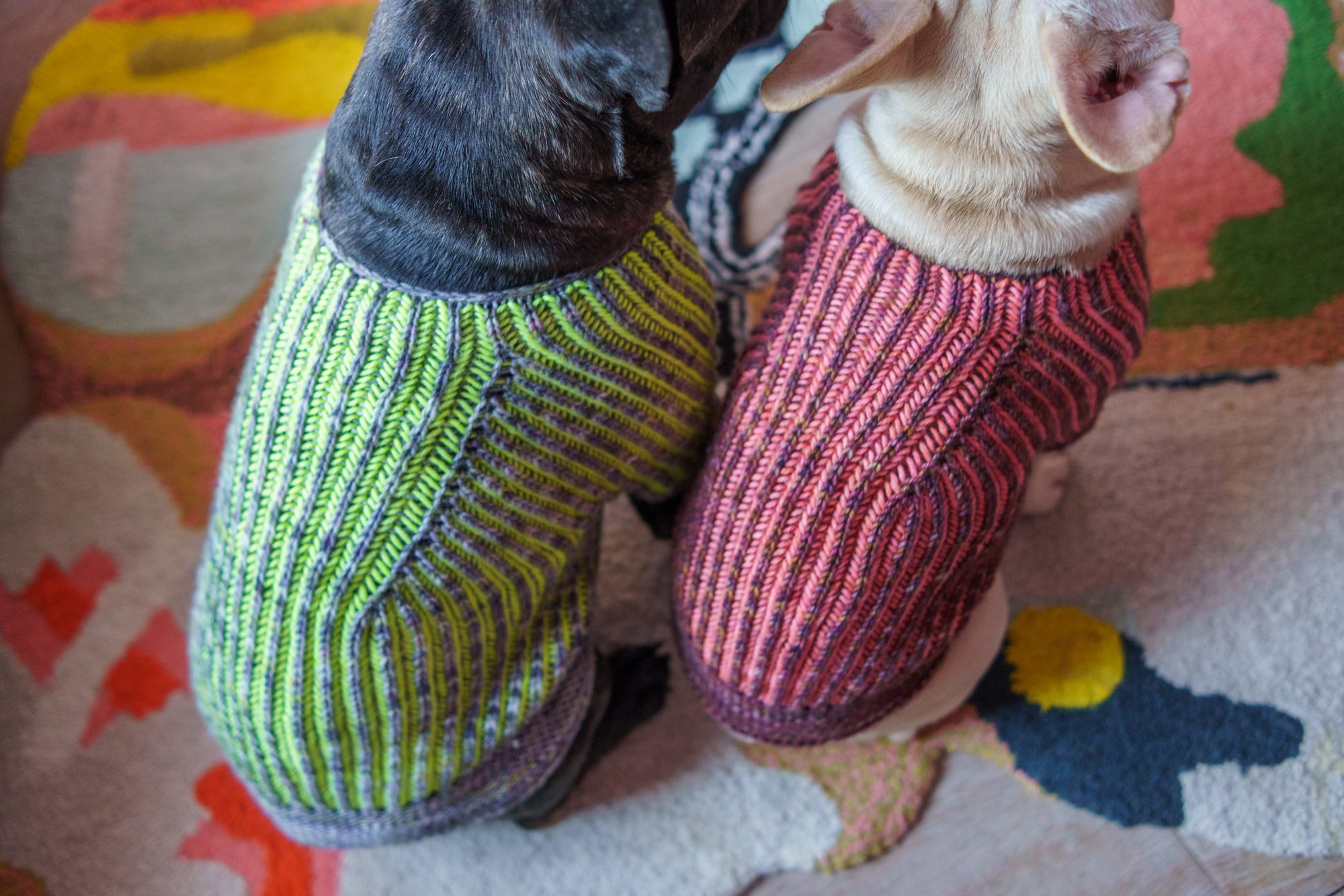Brioche Pup Sweater - Westknits