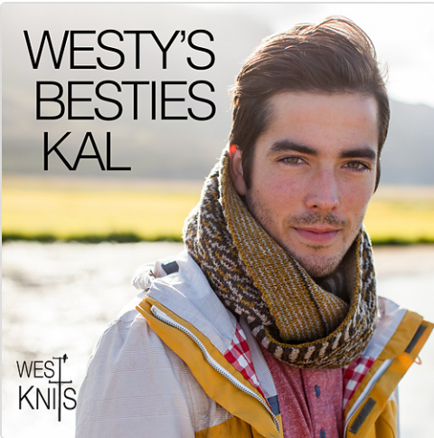 Westy's Besties KAL