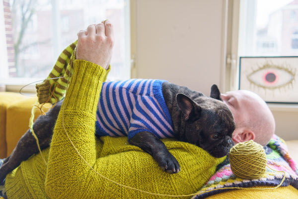 StripedPupSweater-21_600x.jpg?