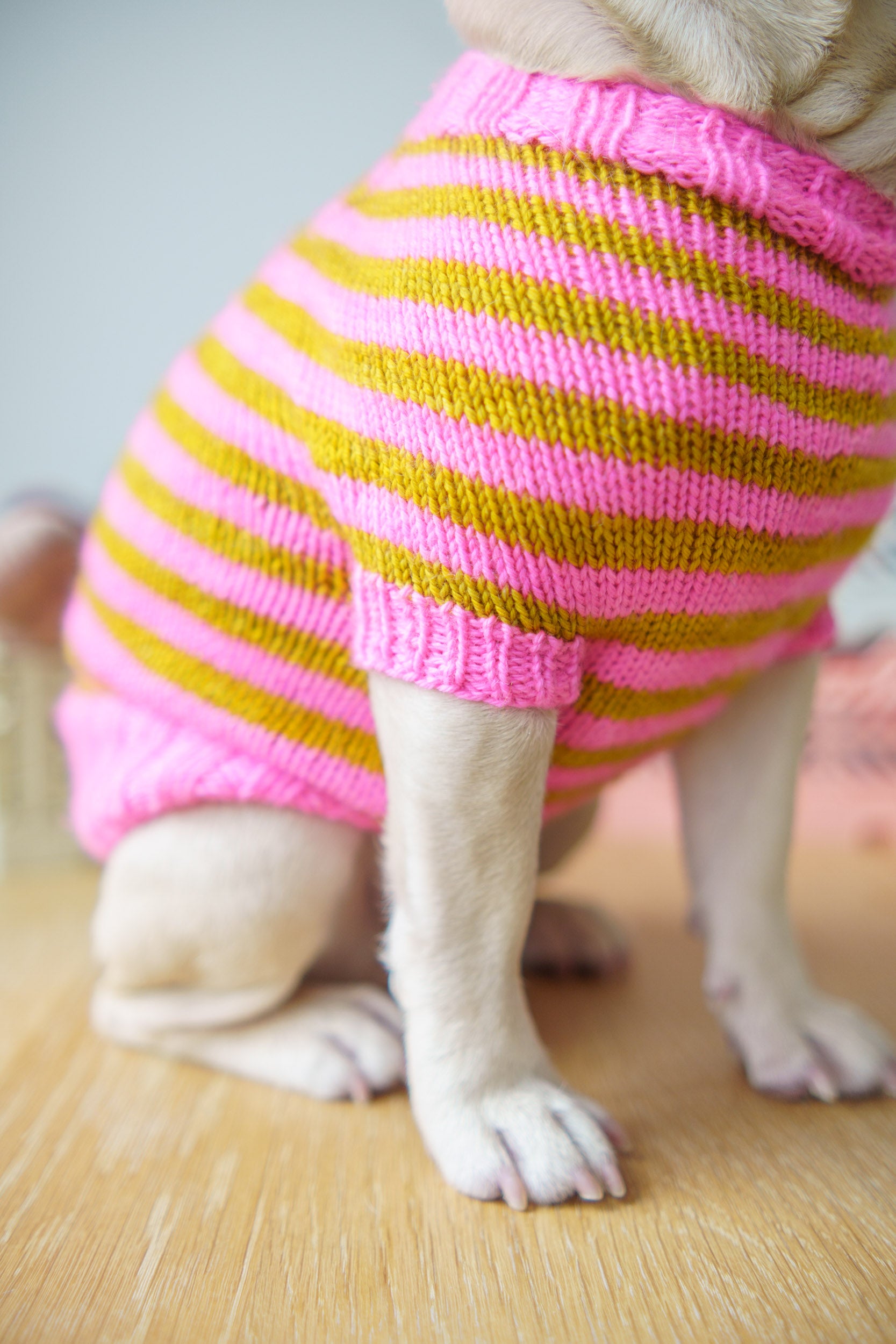 Striped Pup Sweater