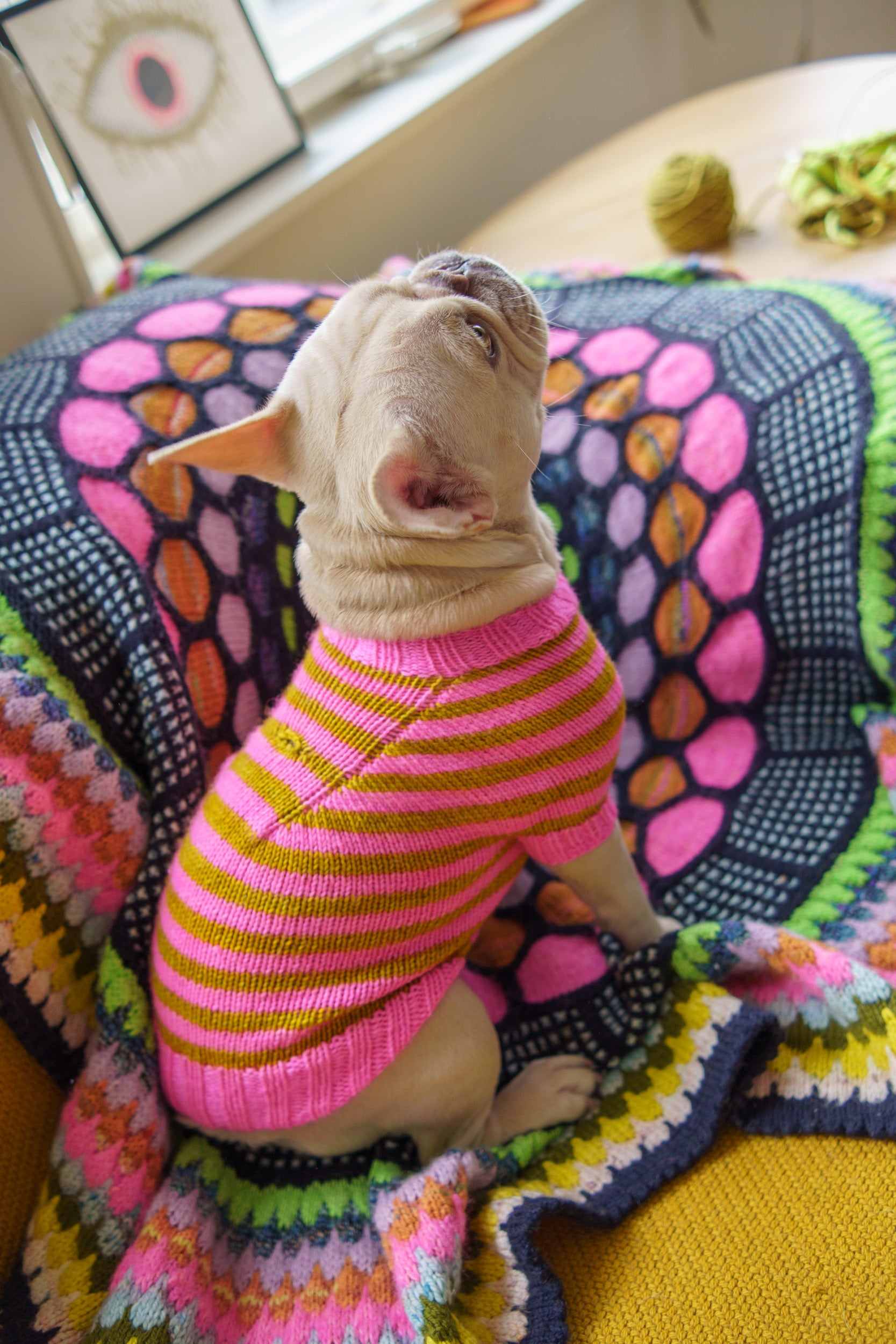 Striped Pup Sweater
